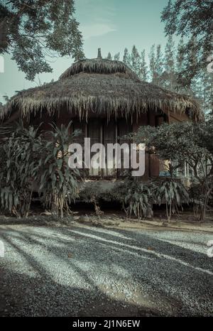 Wunderschöner Blick auf das Sommerhaus aus Holz oder den Sommerbungalow aus Holz, umgeben von einem wunderschönen tropischen Park. Selektiver Fokus. Stockfoto