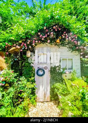 Gartenhaus mit schönen Blüten Blume Homästhetics Haus Idee Natur Dekoration Stockfoto