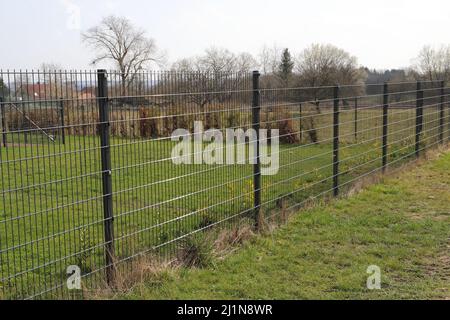 Einen Gartenzaun aus Metall Stockfoto