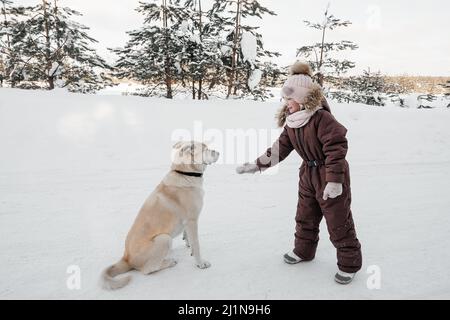 Mädchen in einem verschneiten Wald spielt mit einem Hund Stockfoto