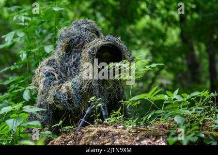 Wildlife Fotograf auf großen See Hintergrund im Sommer arbeiten In freier Wildbahn Stockfoto