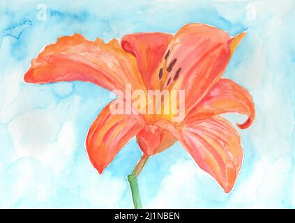 Handbemalte orangene Lilienblume. Künstlerische Malerei. Stockfoto