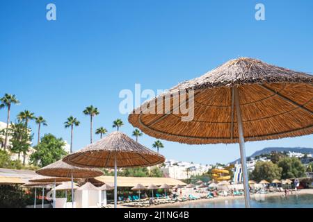 Sonnenschirme und Liegestühle am Strand in einem tropischen Resort für den Sommerurlaub Stockfoto