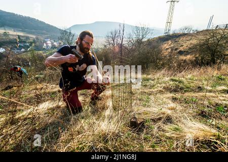 Ein Naturforscher des Stadtmuseums Usti nad Labem Vaclav Beran schloss am 25. März 2022 in einem Käfig eine blühende Passblume (Pulsatilla pratensis), um sie vor überbevölkerten Mufflons und Damhirschen in Usti nad Labem, Tschechien, zu schützen. (CTK-Foto/Ondrej Ajek) Stockfoto