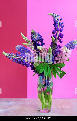 Ein Bouquet von Lupinen in einer Vase. Bunte Sommerblumen rosa und lila auf einem hellen Hintergrund. Lupinenknospen. Speicherplatz kopieren. Stockfoto