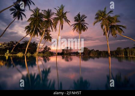 Wasserspiegelung von Kokospalmen im Swimmingpool mit Blick auf den See bei Sonnenuntergang. Touristenort in wunderschöner tropischer Natur. Stockfoto