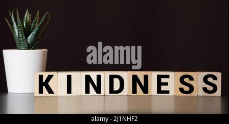 FREUNDLICHKEIT Wort mit Bausteinen gemacht, Konzept Stockfoto