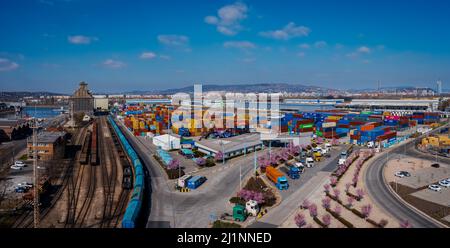 Industriehafen mit Containern in der Donau. Viele Waren warten auf den Versand im Hafen. Stockfoto