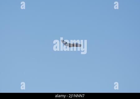 Czech Mig-15UTI 'Midget' OK-UTI2514 Vintage Jet-Flugzeug Landung mit Flaps auf der NATO Days Air Show. Stockfoto