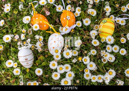 Frohe Ostern! Ostereier. Bunte Ostereier zwischen Gänseblümchen im Garten. Stockfoto