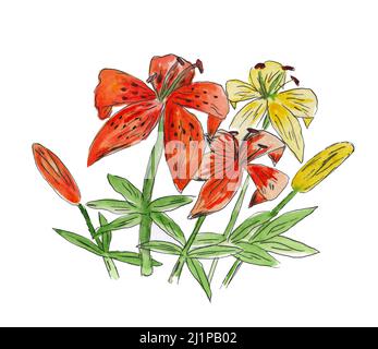 Abstrakt Aquarell floralen Hintergrund. Orangefarbene und gelbe Lilien. Stockfoto