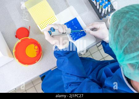 Wissenschaftler im medizinischen Labor verwenden Mikropipetten zur Verdrängung von Luft, die ein farbloses Reaktionsrohr füllen. Stockfoto