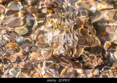 Steine in sprudelndem Wasser mit sonnigen Reflexen im Wasser von kristallklarem Wasser Bach als idyllischer natürlicher Hintergrund zeigt Zen Meditation kleine Wellen Stockfoto