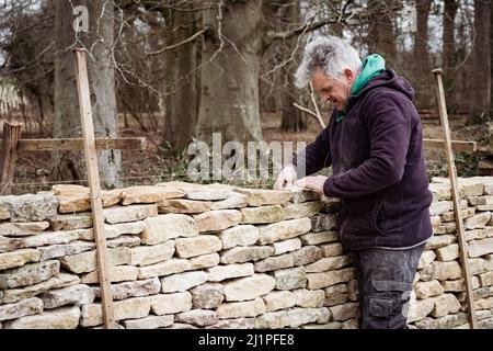 A Dry Stone Waller - Trockensteinmauer in den Cotswolds Stockfoto