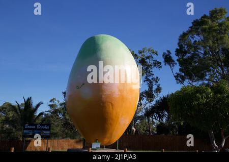 The Big Mango in Bowen, Queensland, Australien Stockfoto