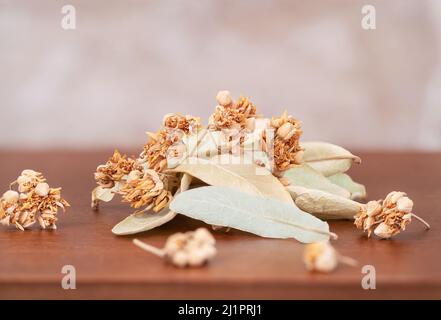 Getrocknete Linden-Teeknospen und Blätter auf dem Holztisch. Kräutertee- oder Alternatinbehandlungskonzept. Stockfoto