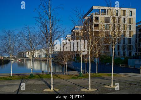 Blick auf weiße, moderne Mehrfamilienhäuser mit Birkenbäumen am Binnenhafen des neuen Stadtviertels „Hafen Offenbach“ in Offenbach, Hessen Stockfoto