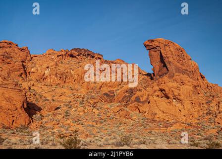 Overton, Nevada, USA - 11. Dezember 2010: Valley of Fire. Landschaft mit eidezidrotem Felsen über felsigen Ausbissen unter blauem Himmel und trockenem grünen kurzen b Stockfoto