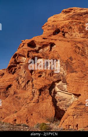 Overton, Nevada, USA - 11. Dezember 2010: Valley of Fire. Portrait von rotem Monstermund Rock mit Augen und Zähnen unter blauem Himmel. Vorne, beige Deser Stockfoto