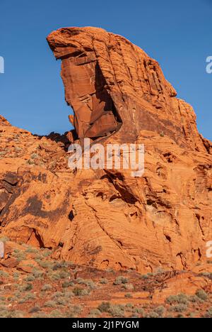 Overton, Nevada, USA - 11. Dezember 2010: Valley of Fire. Portrait mit eisigem roten Felsen über felsigen Ausbissen unter blauem Himmel und trockenem grünen kurzen BU Stockfoto