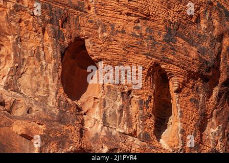Overton, Nevada, USA - 11. Dezember 2010: Valley of Fire. Nahaufnahme von 2 niche0 Höhlen in senkrechter Wand von gestreiften roten Felsklippen mit schwarzen Flecken. Stockfoto