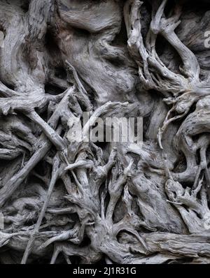 Nahaufnahme von alten, verdrehten, sonnendurchfluteten Treibholzstücken vom Strand in Indonesien Stockfoto