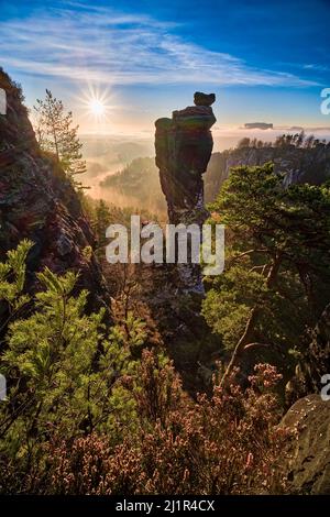 Landschaft mit Felsformationen und dem Gipfel Wehlnadel im Rathen-Gebiet des Nationalparks Sächsische Schweiz bei Sonnenaufgang. Stockfoto