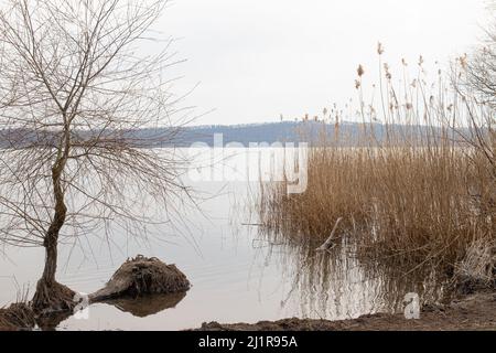 Vico-See (Lago di Vico) in Viterbo, Italien Stockfoto