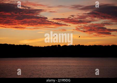 Bailey Island Sonnenaufgang, Sommer auf Bailey Island in Maine ist kühl und wunderschön. Sonnenaufgang auf dem Wasser, felsige Küste und Hummer im Überfluss. Stockfoto