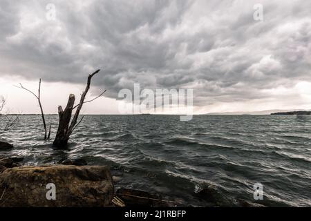 Zerbrochene Stämme auf einem See, unter einem dramatischen, launischen Himmel mit einem einfallenden Sturm Stockfoto