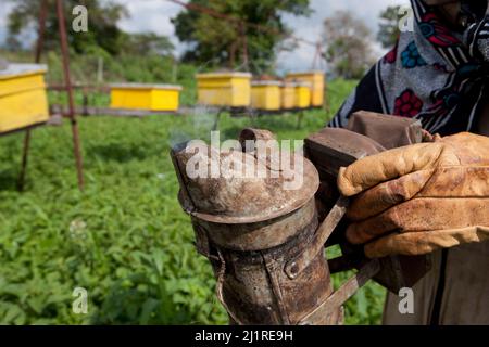 Bienenzucht- und Honigprojekt, Mercy, in weißem Bienenanzug. Dies ist ein Gemeinschaftsprojekt, das von der lokalen NGO IPI, Meru, Kenia, unterstützt wird Stockfoto