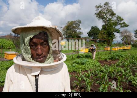 Bienenzucht- und Honigprojekt, Mercy, in weißem Bienenanzug. Dies ist ein Gemeinschaftsprojekt, das von der lokalen NGO IPI, Meru, Kenia, unterstützt wird Stockfoto