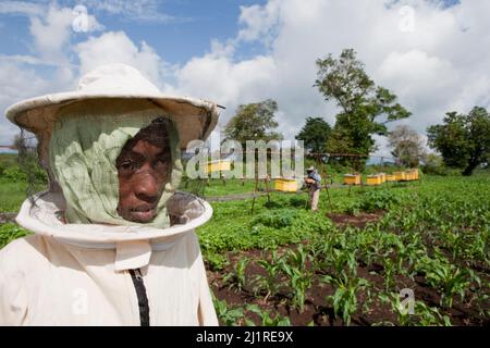 Bienenzucht- und Honigprojekt, Mercy, in weißem Bienenanzug. Dies ist ein Gemeinschaftsprojekt, das von der lokalen NGO IPI, Meru, Kenia, unterstützt wird Stockfoto