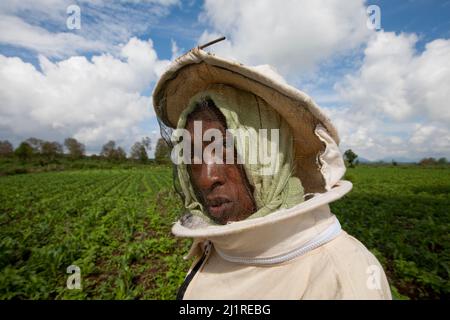 Bienenzucht- und Honigprojekt, Mercy, in weißem Bienenanzug. Dies ist ein Gemeinschaftsprojekt, das von der lokalen NGO IPI, Meru, Kenia, unterstützt wird Stockfoto