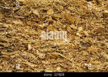 Echter natürlicher beigefarbener gelber Hintergrund mit orangen Farbtönen. Holzspäne und Sägemehl in verschiedenen Größen nach der Verarbeitung verschiedener Holzarten. Stockfoto