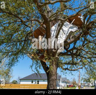 ARABI, LA, USA - 26. MÄRZ 2022: Anhänger stecken in einem Baum, nachdem er am 22. März 2022 vom Tornado abgeholt wurde Stockfoto