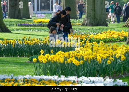 Lisse, Niederlande. 26. März 2022. Volkstour im Keukenhof Park in Lisse, Niederlande, 26. März 2022. Der Park ist vom 24. März bis zum 15. Mai dieses Jahres für die Öffentlichkeit zugänglich. Quelle: Zhang Cheng/Xinhua/Alamy Live News Stockfoto