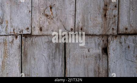 Altes weißes Holzbrett mit Alterserscheinungen und Nagelköpfen. Markante Holzmaserung. Speicherplatz kopieren. Stockfoto