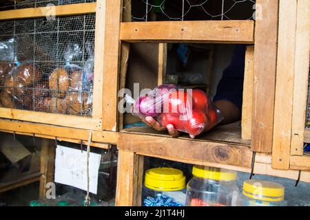 Eine Ladenbesitzerin versorgt ihre Kundin mit Eiern, Obst und Gemüse, die in verbotenen Plastiktüten verpackt sind. Am 28 2017. August Verbot Kenia die Verwendung, Herstellung und Einfuhr aller Einweg-Plastiktüten, die für gewerbliche Verpackungen und Haushaltsverpackungen verwendet werden. Das weltweit als strengstes Verbot gepriesen wurde leider dadurch frustriert, dass Händler die Taschen durch Kenias poröse Grenzen mit seinen ostafrikanischen Nachbarn schmuggeln. Umweltgruppen haben sich für ein regionales Verbot von Einweg-Kunststoff eingesetzt, um die zunehmende Verschmutzung durch Kunststoff einzudämmen. Stockfoto