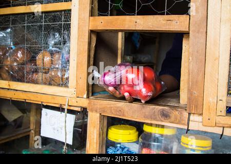 Eine Ladenbesitzerin versorgt ihre Kundin mit Eiern, Obst und Gemüse, die in verbotenen Plastiktüten verpackt sind. Am 28 2017. August Verbot Kenia die Verwendung, Herstellung und Einfuhr aller Einweg-Plastiktüten, die für gewerbliche Verpackungen und Haushaltsverpackungen verwendet werden. Das weltweit als strengstes Verbot gepriesen wurde leider dadurch frustriert, dass Händler die Taschen durch Kenias poröse Grenzen mit seinen ostafrikanischen Nachbarn schmuggeln. Umweltgruppen haben sich für ein regionales Verbot von Einweg-Kunststoff eingesetzt, um die zunehmende Verschmutzung durch Kunststoff einzudämmen. (Foto von James Wakibia/SOPA Images/Sipa USA) Stockfoto
