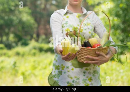 Eine Frau mit einem süßen Pfeffer in den Händen und einem Korb mit Gemüse, auf einem Bauernhof oder einem Gemüsegarten. Das Konzept der Ernte oder des Verkaufs von Gemüse Stockfoto