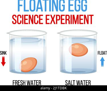 Wissenschaft Experiment mit schwimmenden Ei Illustration Stock Vektor