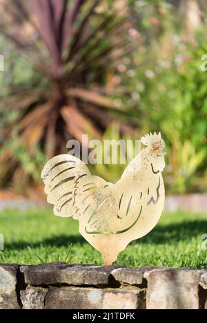 Ein Stahl- oder Eisenprofil eines Hahns als Gartenschmuck vor einem gemähten grünen Rasen in einem Hinterhof in Sydney, Australien Stockfoto