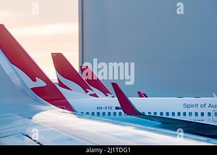 Eine Reihe geparkter Qantas-Inlandsflugzeuge standen am frühen Morgen in Australien am Inlandsflughafen von Sydney an Stockfoto