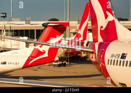 Eine Gruppe geparkter Qantas-Inlandsflugzeuge stand am frühen Morgen in Australien am Inlandsflughafen von Melbourne an Stockfoto