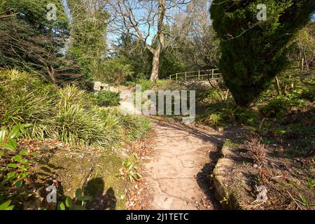 Pfad in einem Ziergarten in Newstead Abbey, Nottinghamshire, Großbritannien Stockfoto