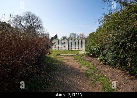 Pfad in einem Ziergarten in Newstead Abbey, Nottinghamshire, Großbritannien Stockfoto