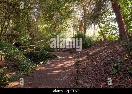 Pfad in einem Ziergarten in Newstead Abbey, Nottinghamshire, Großbritannien Stockfoto