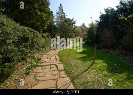 Pfad in einem Ziergarten in Newstead Abbey, Nottinghamshire, Großbritannien Stockfoto