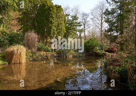 Japanischer Wassergarten in Newstead Abbey, Nottinghamshire, Großbritannien Stockfoto